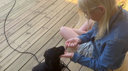 7. Maddie - The petting exercise is a paramount exercise in the REASOM method, men it has to learn it first