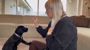 9. Maddie - Intro to Exercise #3, Eye contact, Maddie should figure out what it is that gets her the treat