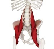 ilio-psoas.jpg-1