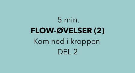 Afspænding FLOW 3 dele (2)