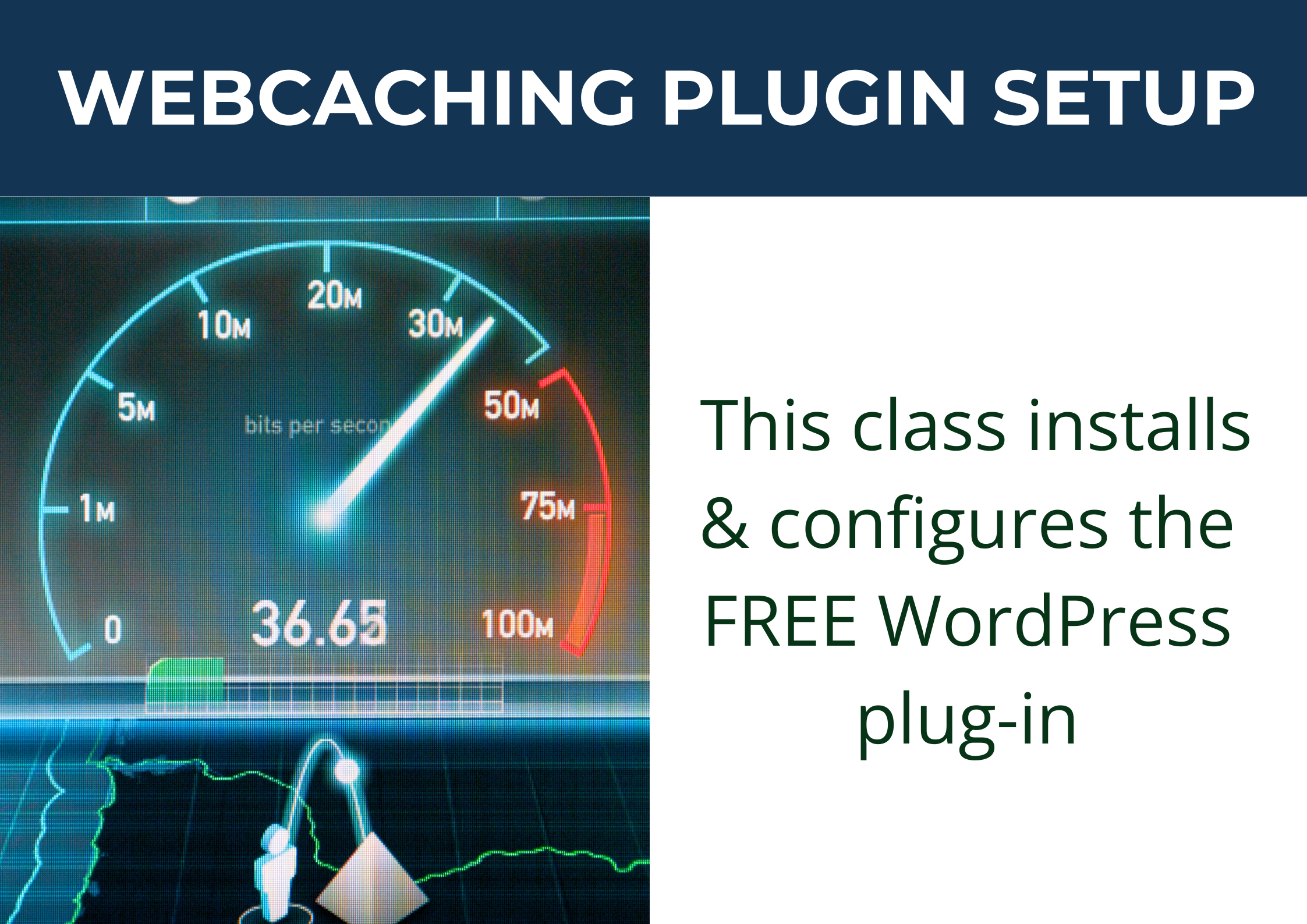 WebCaching Plugin Set-up