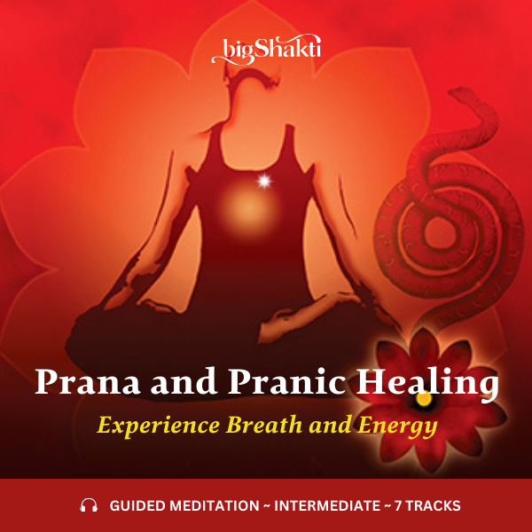 Prana and Pranic Healing Meditation - Product 600