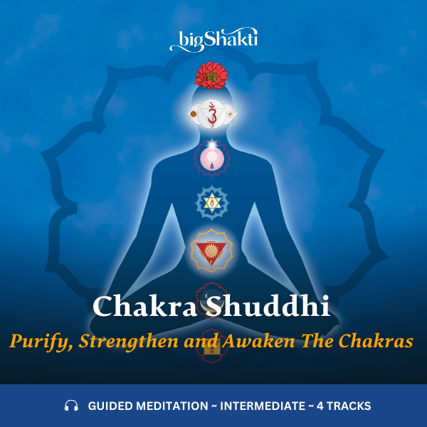The Chakras Chakra Shuddhi Meditation - Product 600