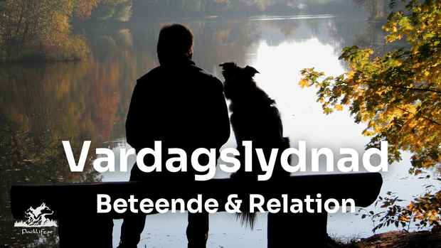 vardagslydnad heldag