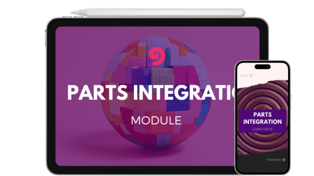 Product - Parts Integration Module