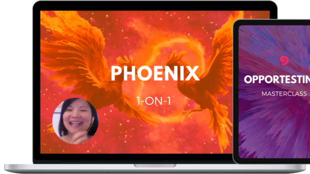 Product - Phoenix Coaching