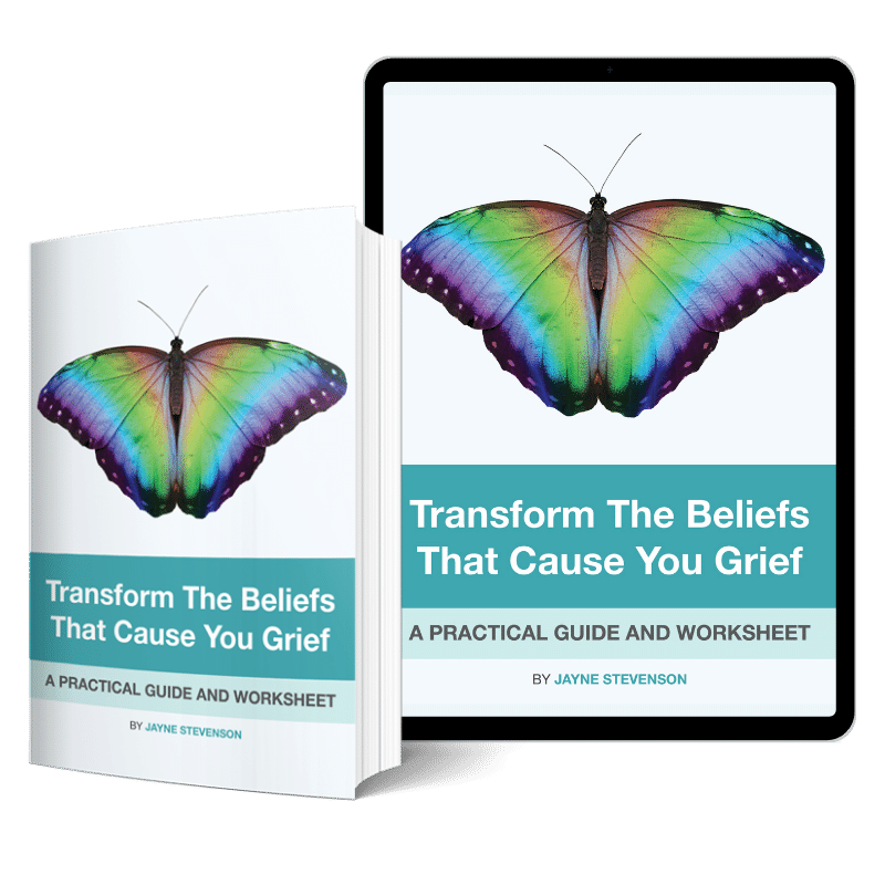 transform the beliefs that cause you grief hero