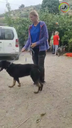 Certificate Course - Pernille - Shows and talks about a Rescue dog