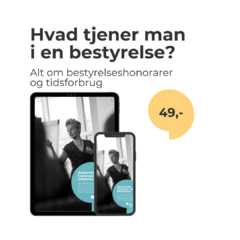 Bestyrelseshonorarer og tidsforbrug - E-bog fra Nyibestyrelsen.dk - Grafik