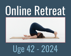 Online Retreat - uge 42