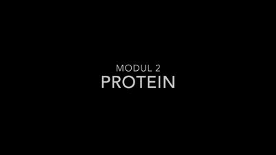 2-7-Protein-hd