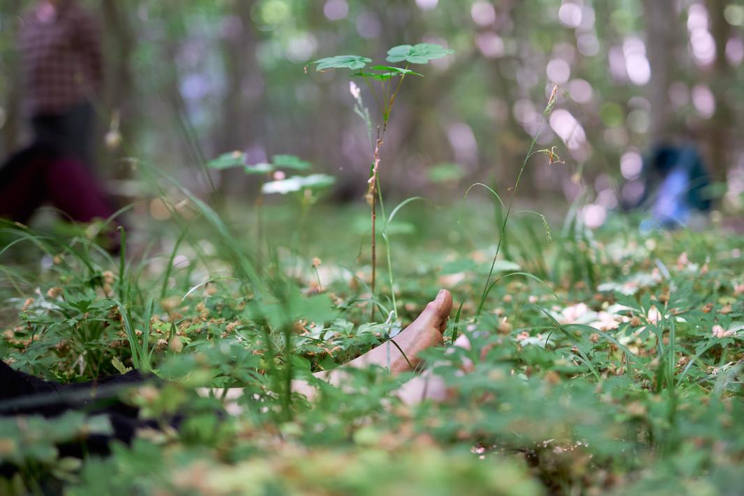 07_2x3_Naturrefugium Maj 24_Rikke Hornbæk Mikuta