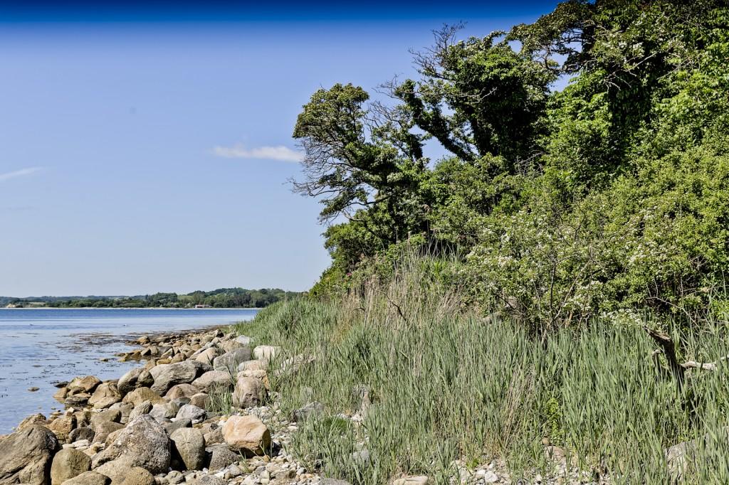 Kalø-Vig_C0A6772-1024x682