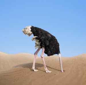 ostrich-head-in-sand-300x295
