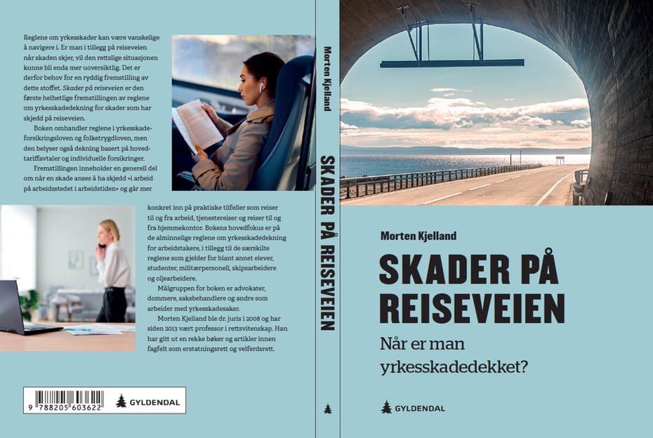 Skader på reiseveien