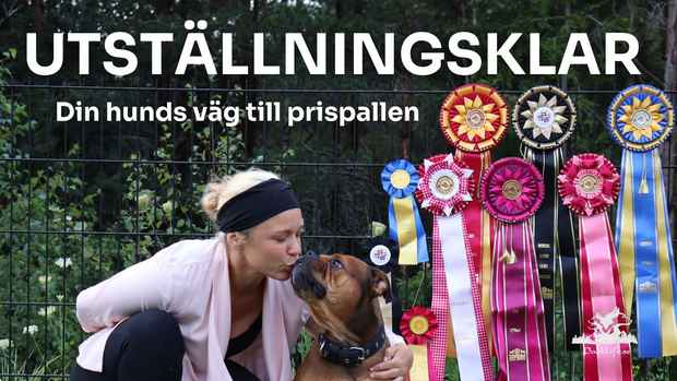 utställning