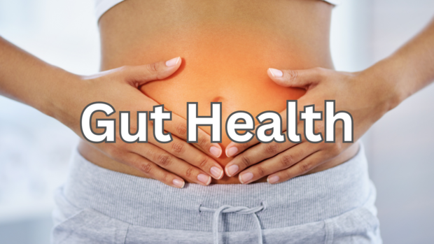 Gut Health