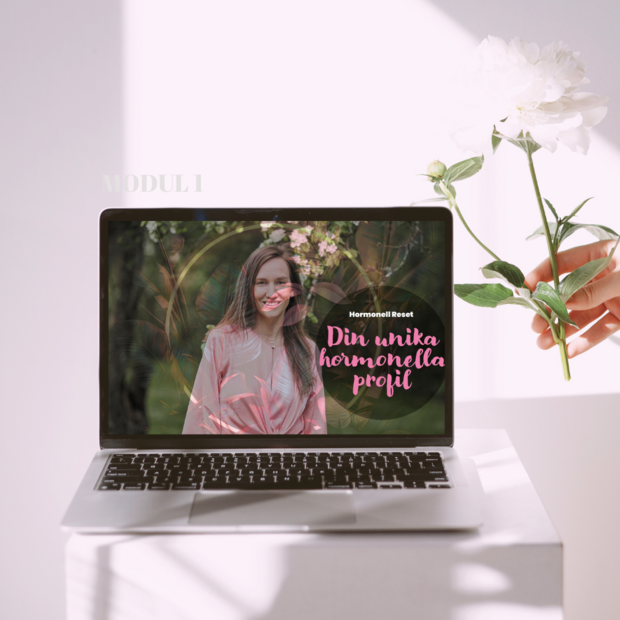 Laptop Mockup of Fashion Clothing Instagram Post(1)