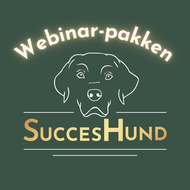 WEBINAR ANNONCE BILLEDEr-14