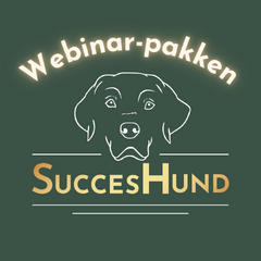 WEBINAR ANNONCE BILLEDEr-14