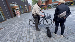 18. Maddie - On a city-stroll, with all it includes, here it's IMPORTANT to think training and not stroll, since these "pictures" takes the puppy into adult life - Captions