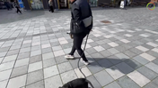 20. Maddie - On the walk, it is important that you also do what the puppy knows from home, now just with stimuli, that's what the world looks like and that should also be trained - Captions