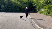 23. Maddie - Long line on a walk, Maddie is 11 weeks old now and we are establishing the good walk, where she just stays with us during the walk - Captions