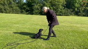 26. Maddie - New place, same exercises that Maddie knows, to get success it is important to be patient, since there is new stimuli - Captions