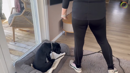 27. Maddie - Placeboard, how you get started - Captions