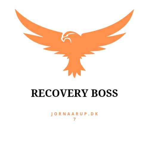 Recovery Boss