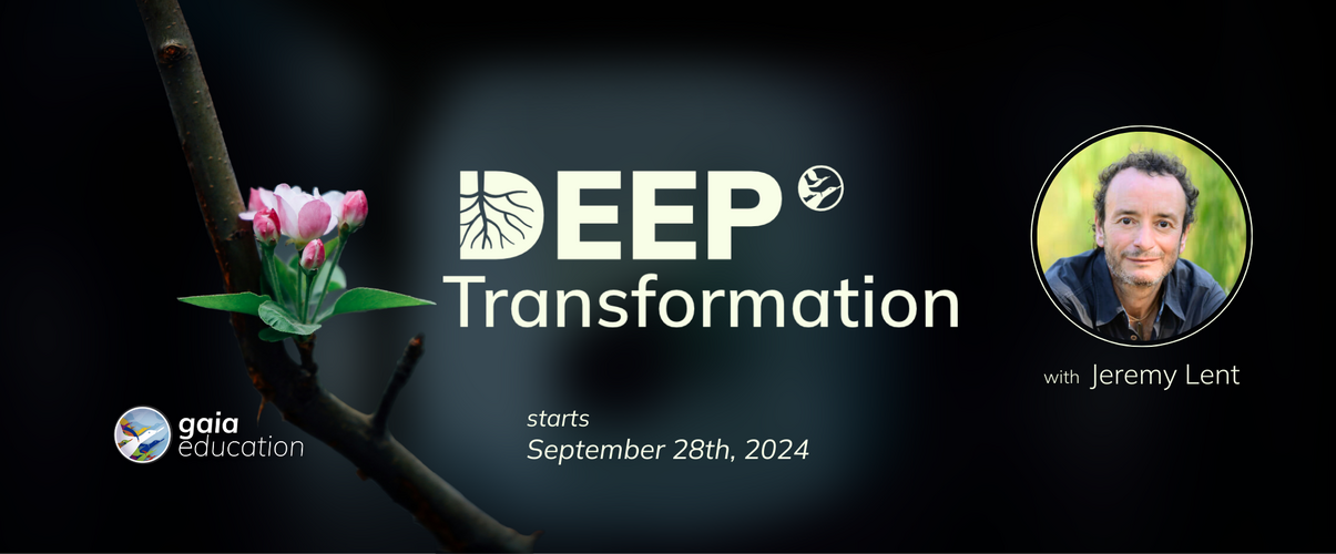 Deep Transformation - web banner