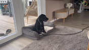 28. Maddie - Placeboard, the long term result - Captions