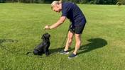 30 Maddie - The 6 exercises, try WITHOUT too much talking, dogs are visual, so they SEE what you do and NOT what you say - Captions