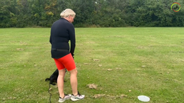 31. Maddie - Treat game, where we use STAY, CONTACT and RECALL