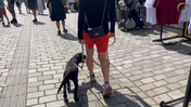 32. Maddie - On a pedestrian street, where we focus on the stroll and perhaps scanning, not greetings.....just walk. - Captions