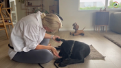 33. Maddie -  Nail trimming, how you can get started
