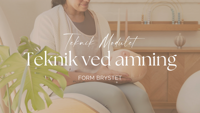 TEKNIKMODULET - Trin 4