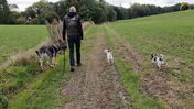 27. Walking with five dogs - Captions