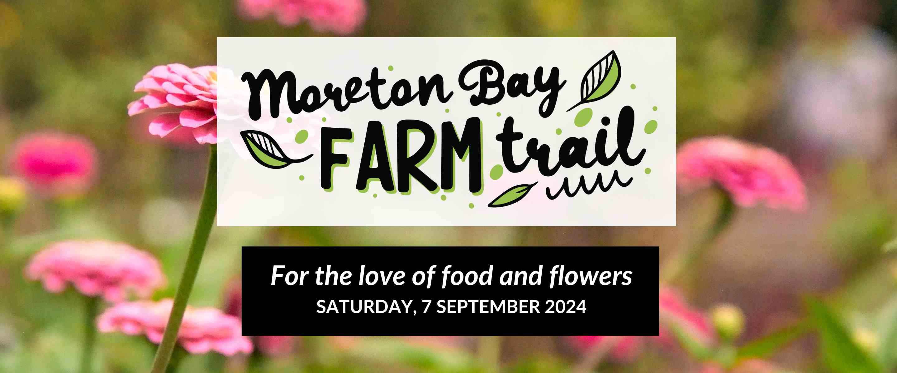 Moreton Bay Farm Trail_pink flowers