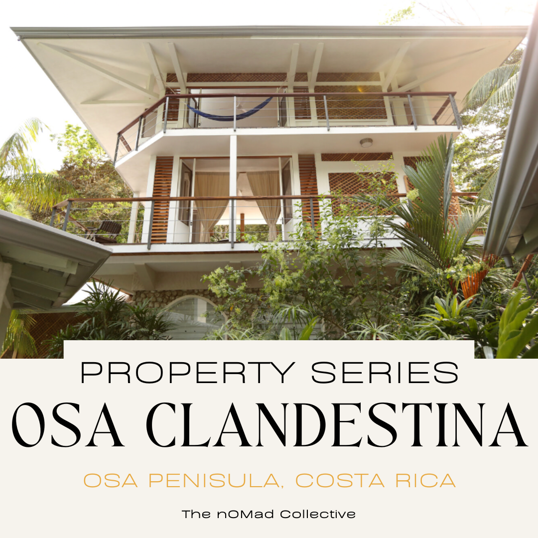 WEBSITE RETREAT GRAPHICS (99)