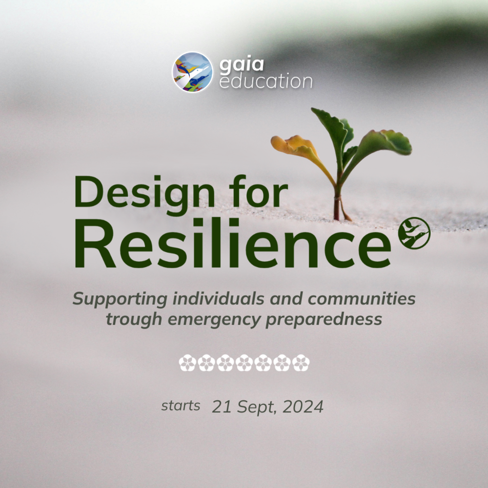 Design for Resilience 2024 -  Instagram post