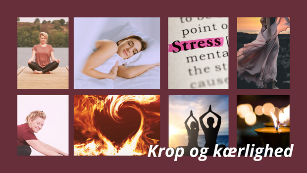 søvn og stress