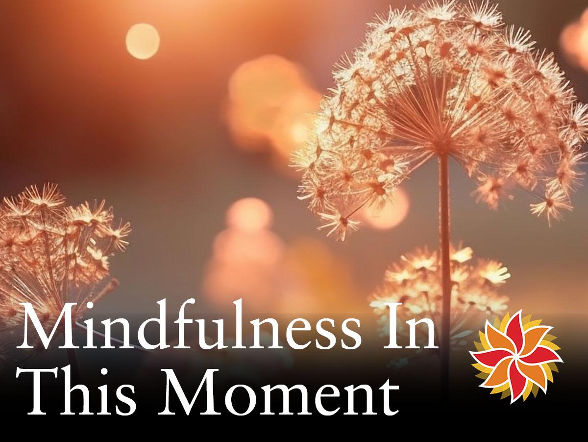 mindfulness-in-this-moment-3