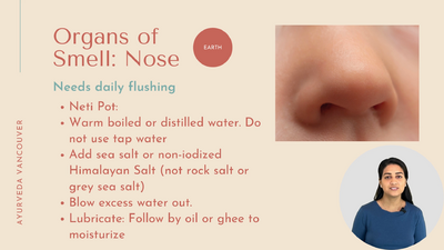 6 Nose - Overview of Ayurveda - online training 