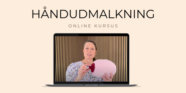 Håndudmalkning