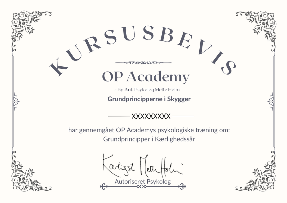 OP Academy Kursusbevis Skygger 