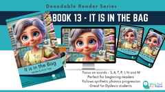 Book-13-it-is-in-the-bag-decodable-reader