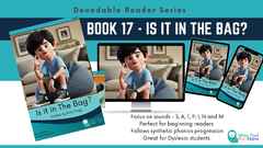 book-17-is-it-in-the-bag-decodable-reader