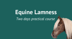 Equine Lamness_twodays