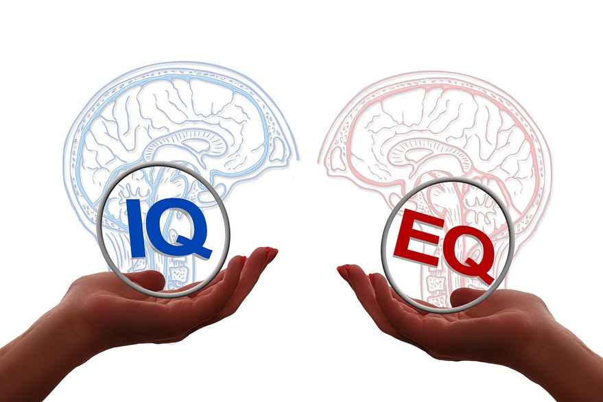 Tegning af to hjerner og to hænder nedenunder, der holder skilte med henholdvis teksten: "IQ" og "EQ".